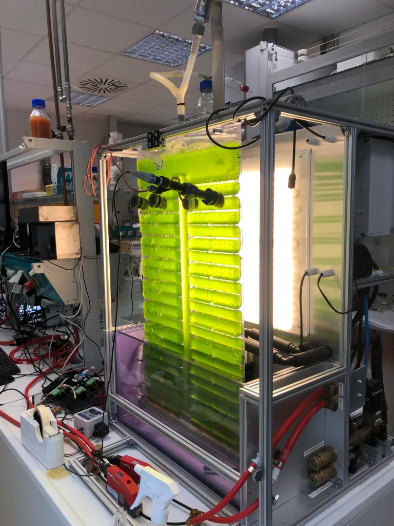 Hochschule Esslingen Versuchsstand Algenkultivierung