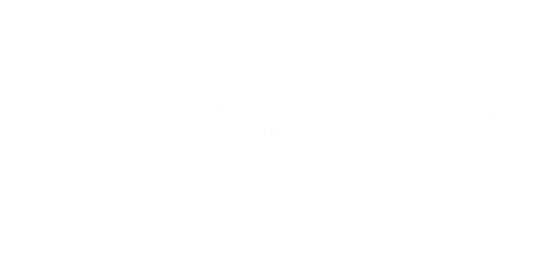 Logo Team Storz